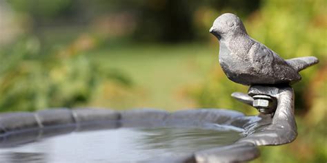 Comment Choisir Une Fontaine De Jardin