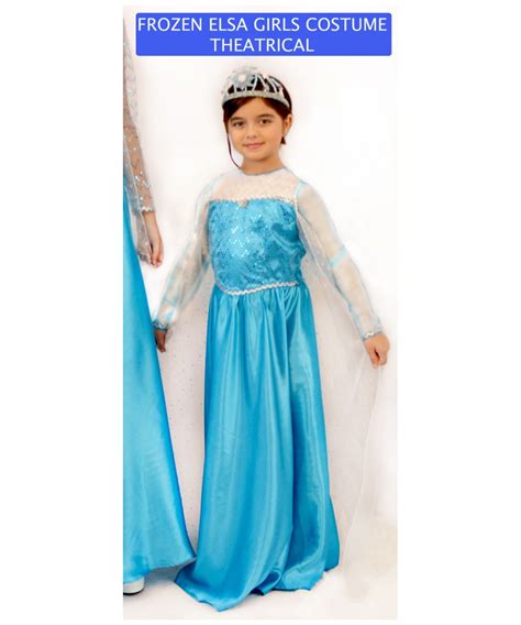 Disney Frozen Elsa Costume Adult