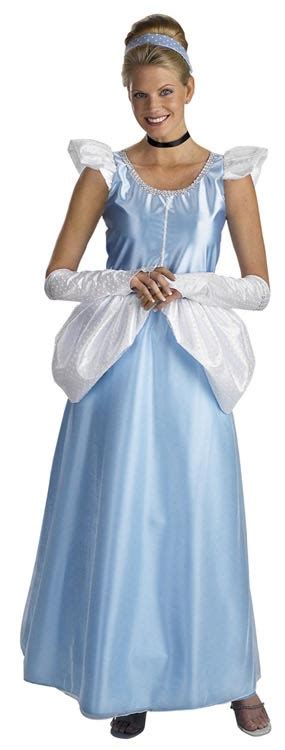 Adult Disney Deluxe Princess Cinderella Costume Mr Costumes