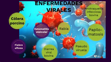 Enfermedades Virales By Cristian Amaguaya On Prezi