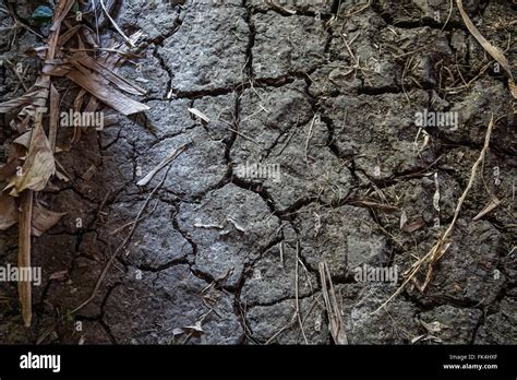 La sequía en la tierra mustio las capas del suelo la sequía y la