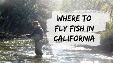 15 Best Places To Fly Fish In California Maps Included Guide Recommended