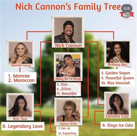 Unveiling The Roots Who Are Nick Cannons Parents