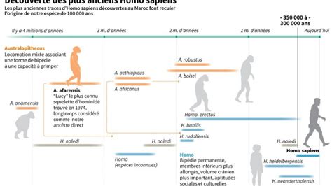 Homo Sapiens Une Découverte Qui Bouleverse Notre Vision De Lévolution