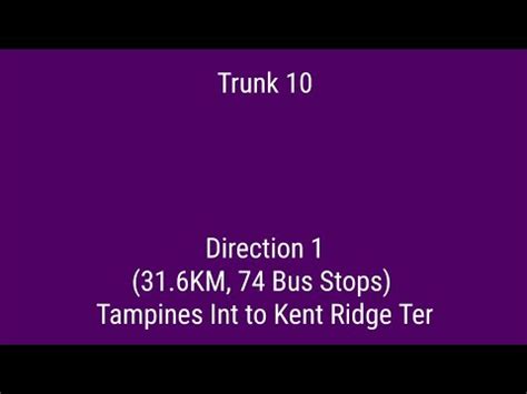 Singapore Bus Route Visual SBS Transit Trunk Bus Service 10