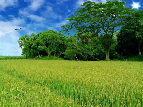 Bangladesh Nature Wallpapers Top Free Bangladesh Nature Backgrounds – NBKomputer