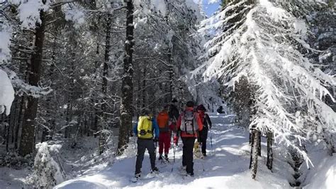 Due Escursionisti Bloccati Dalla Neve Sul Tovo Cronaca Cronaca Locale