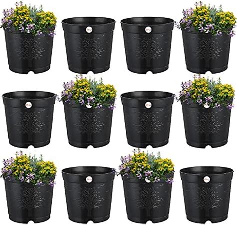 Kraft Seeds By Club Plastic Nursery Seedlings Pots Pcs Inch