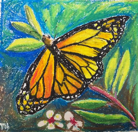 Butterfly 1 Oil Pastel Pastel Butterflies Oil Pastel Art