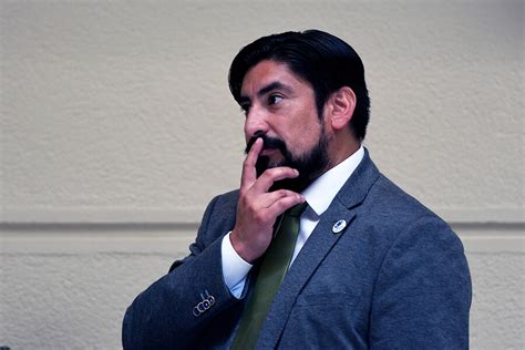 Diputado Oyarzo Viaja A M Xico En Medio De La Votaci N De La Reforma