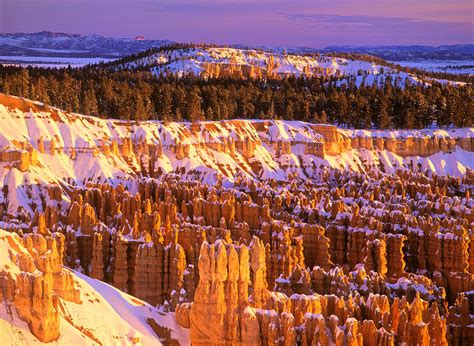 Bryce Canyon Winter Sunrise Photograph by Johan Elzenga