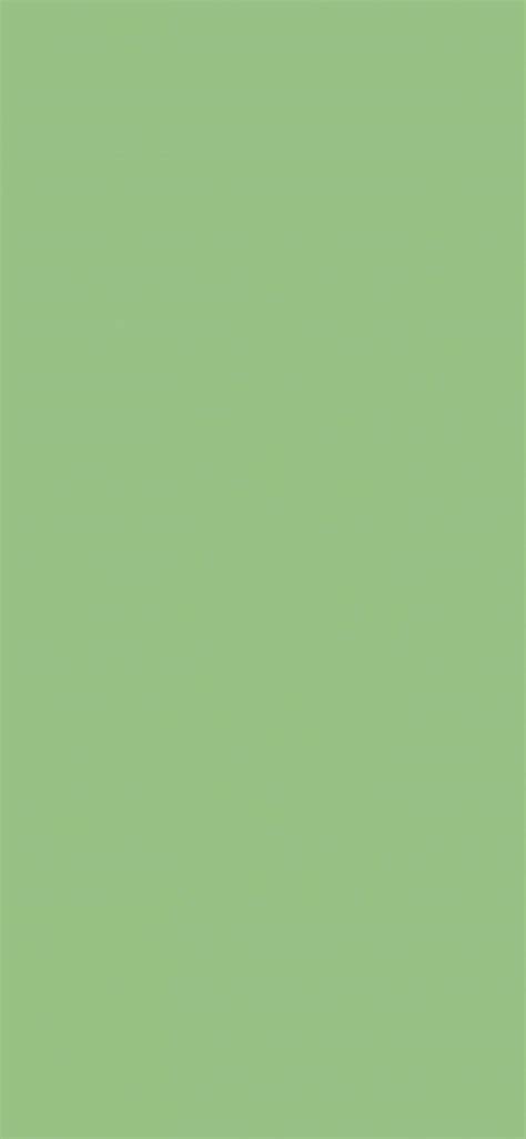 Matcha Green Wallpapers Top Free Matcha Green Backgrounds