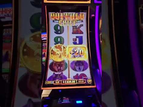 Massive Jackpot On Buffalo Chief Slot Machine Youtube