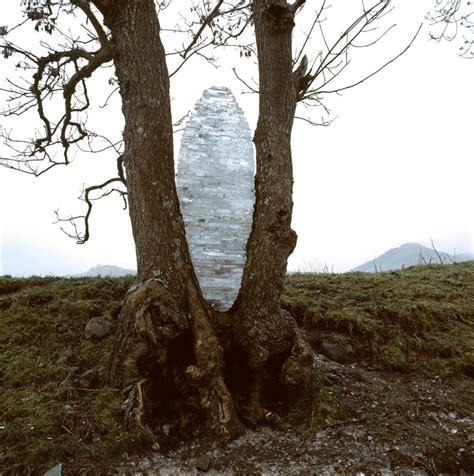 Andy Goldsworthy Goes Back to His Roots - The Leonard Lopate Show - WNYC