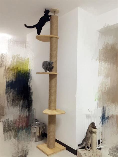 Using The Stolmen Post For The Basis Of A Floor To Ceiling Cat Post