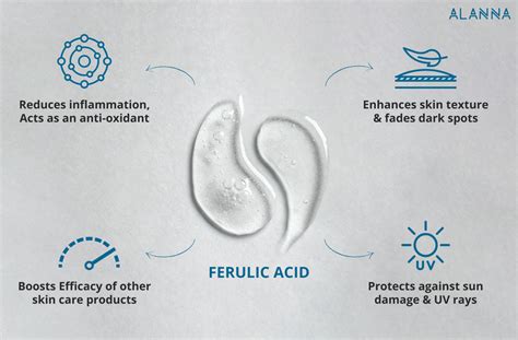 Ferulic Acid Benefits | Plamed Group