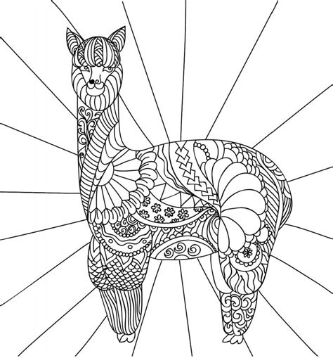 Free Printable Adult Coloring Pages Llamas