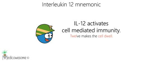 Immense Immunology Insight: Interleukin-12 (IL-12) mnemonic