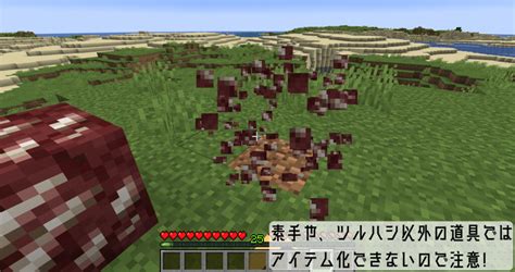 【マイクラ】ネザークォーツがある高さは？ 見つけ方や効率的な入手方法を紹介！ 高専生ののんびりブログ