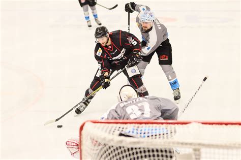 Crocodiles Treffen Auf Icefighters Und Saale Bulls