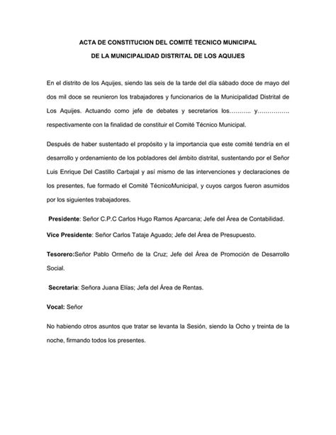 Acta De Constitucion Del Comité Tecnico Municipal Pdf