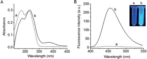 A Absorption And B Fluorescence Emission Spectra Of Probe 1 10 Mm