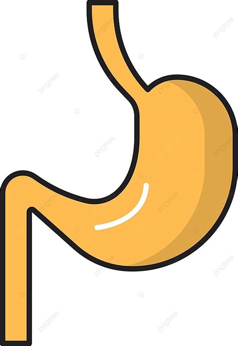 Stomach Care Digestion Illustration Vector Care Digestion Illustration Png And Vector With