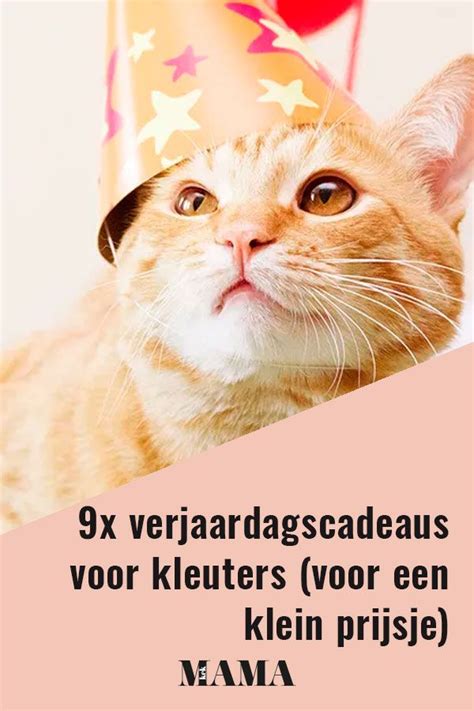 X Verjaardagscadeaus Voor Kleuters Voor Een Klein Prijsje Movie