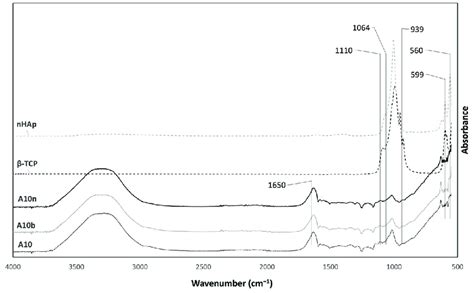 ATR FTIR spectra of nHAp β TCP and hydrogels with nHAp e β TCP