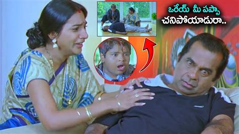 ఒరేయ్ పప్పి మీ నాన్న చనిపోయాడురా Brahmi Namo Venkatesha Comedy