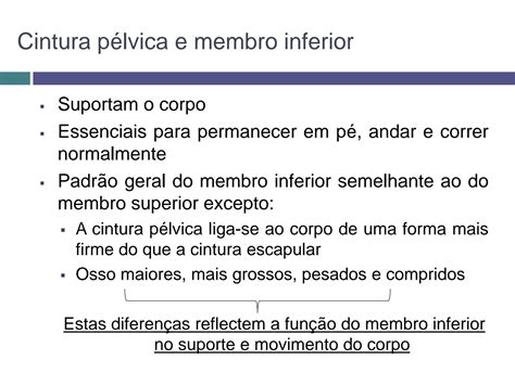 SOLUTION Osteologia Da Cintura P Lvica E Coxa Studypool