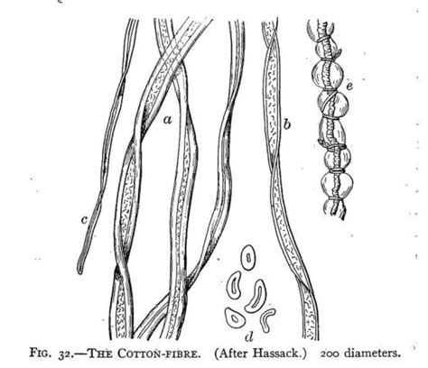 Cellulose Fibers Gitbook