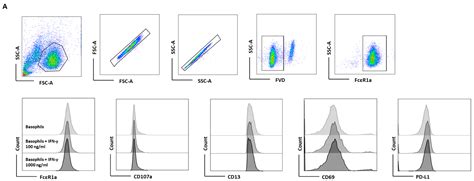 Cells Free Full Text Ifn γ Induces Pd L1 Expression In Primed Human