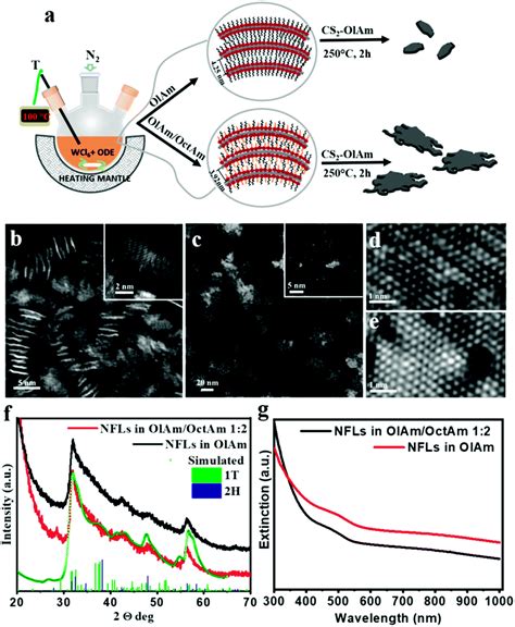 Mechanistic Insight Into The Formation Of Colloidal WS 2 Nanoflakes In