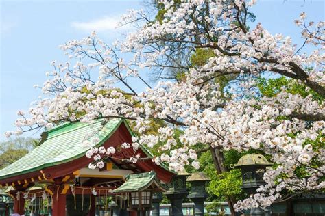 Parque Ueno Jap N Ecured