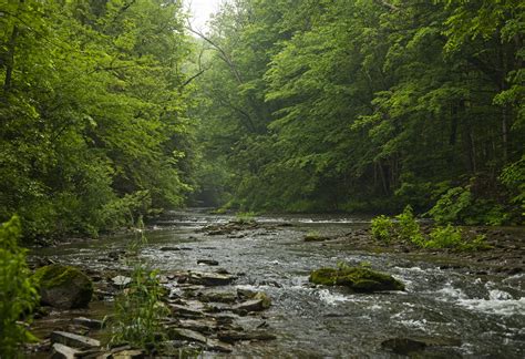 2647 best Upstate Ny images on Pholder | Earth Porn, Amateur Room Porn