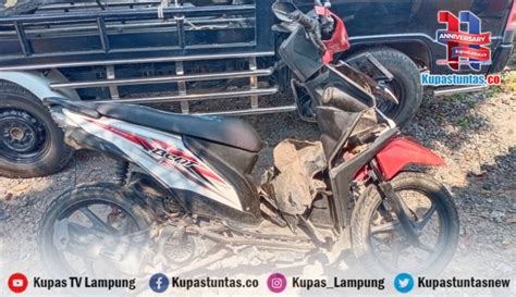 Kupas Tuntas Seorang Wanita Tewas Terlindas Truk Di Tarahan Lamsel