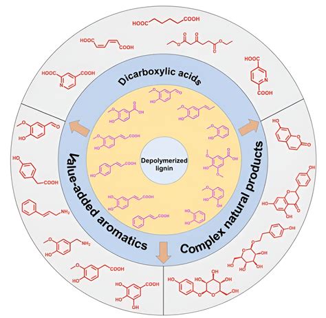 Valorization Of Depolymerized Lignin Using Microorganisms