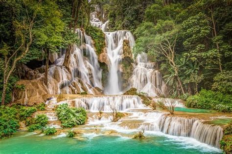 Luang Prabang City Tour & Kuang Si Waterfalls: Triphobo