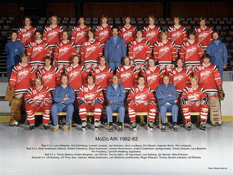 MoDo Hockey 1990-91 – Stimar