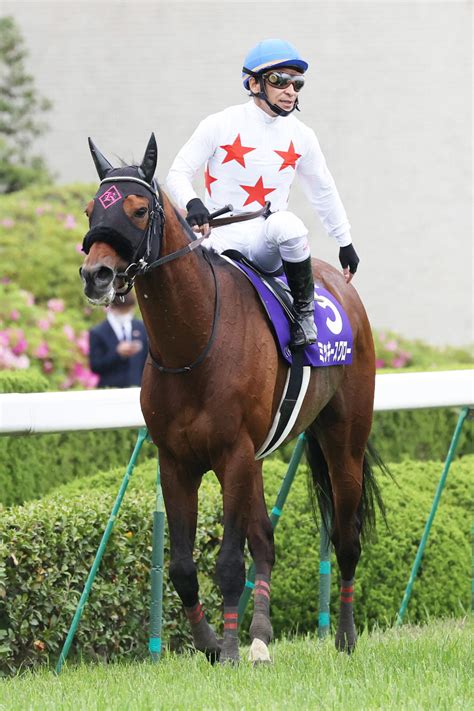 【天皇賞・敗者の弁】3着はミッキースワロー 横山典「勝った馬が強かった」 Umatoku 馬トク