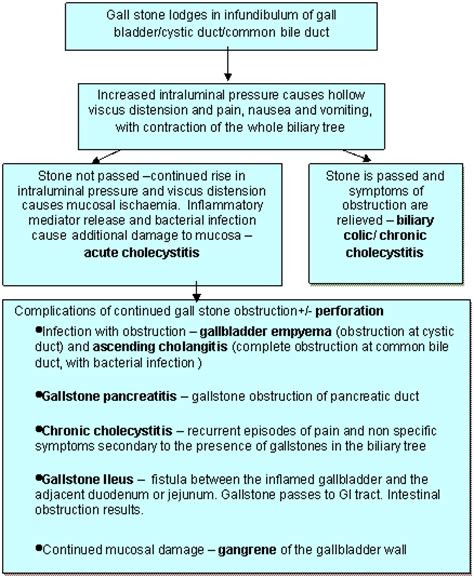 Chronic Vs Acute Cholecystitis Understanding The Differences And Implications Ask The Nurse