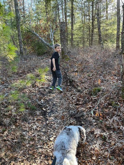 Myles Standish State Forest - Backyard Road Trips