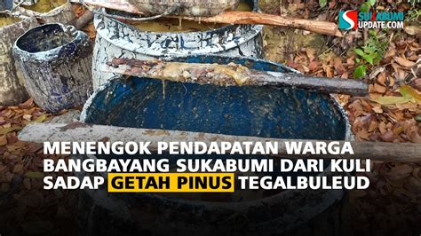 Menengok Pendapatan Warga Bangbayang Sukabumi Dari Kuli Sadap Getah