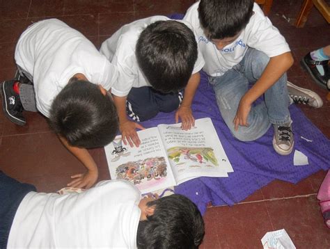 PLAN PROVINCIAL LECTURA Y ESCRITURA La lectura en la Educación Primaria