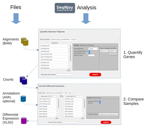 SeqNjoy Complete RNA Seq Workflows In Your Desktop