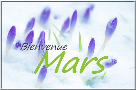 Programme Mars 2023 Albères Evasion