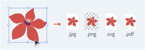 Learn How To Export Assets From Adobe Xd To Png Svg  And Pdf File