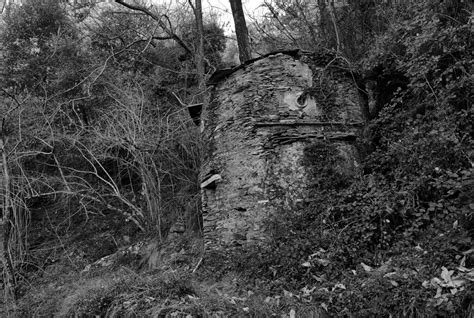 Vecchia Casa Diroccata Nel Bosco A Fabbiano Di Seravezza Flickr