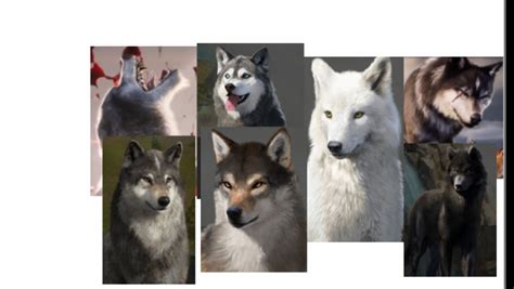 favorite wolf game characters  jimelijah  deviantart